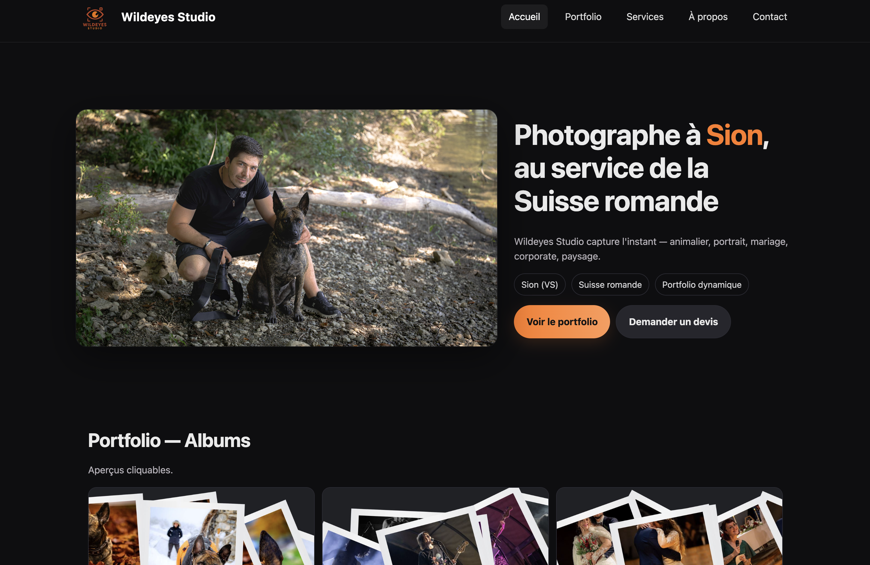 Aperçu — Wildeyes Studio
